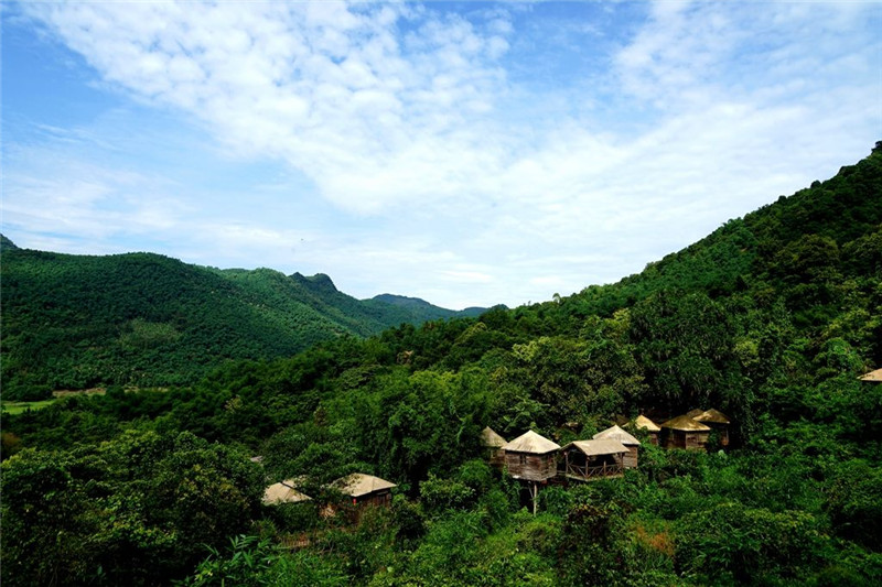 五一(one)假期，中山周邊情侶浪漫景點【樹上人(people)家】網紅樹屋旅行美哭！