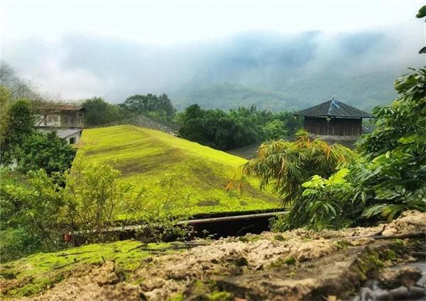 蟬躁林逾靜，鳥鳴山更幽|九州驿站帶你遠離喧鬧，尋求甯靜