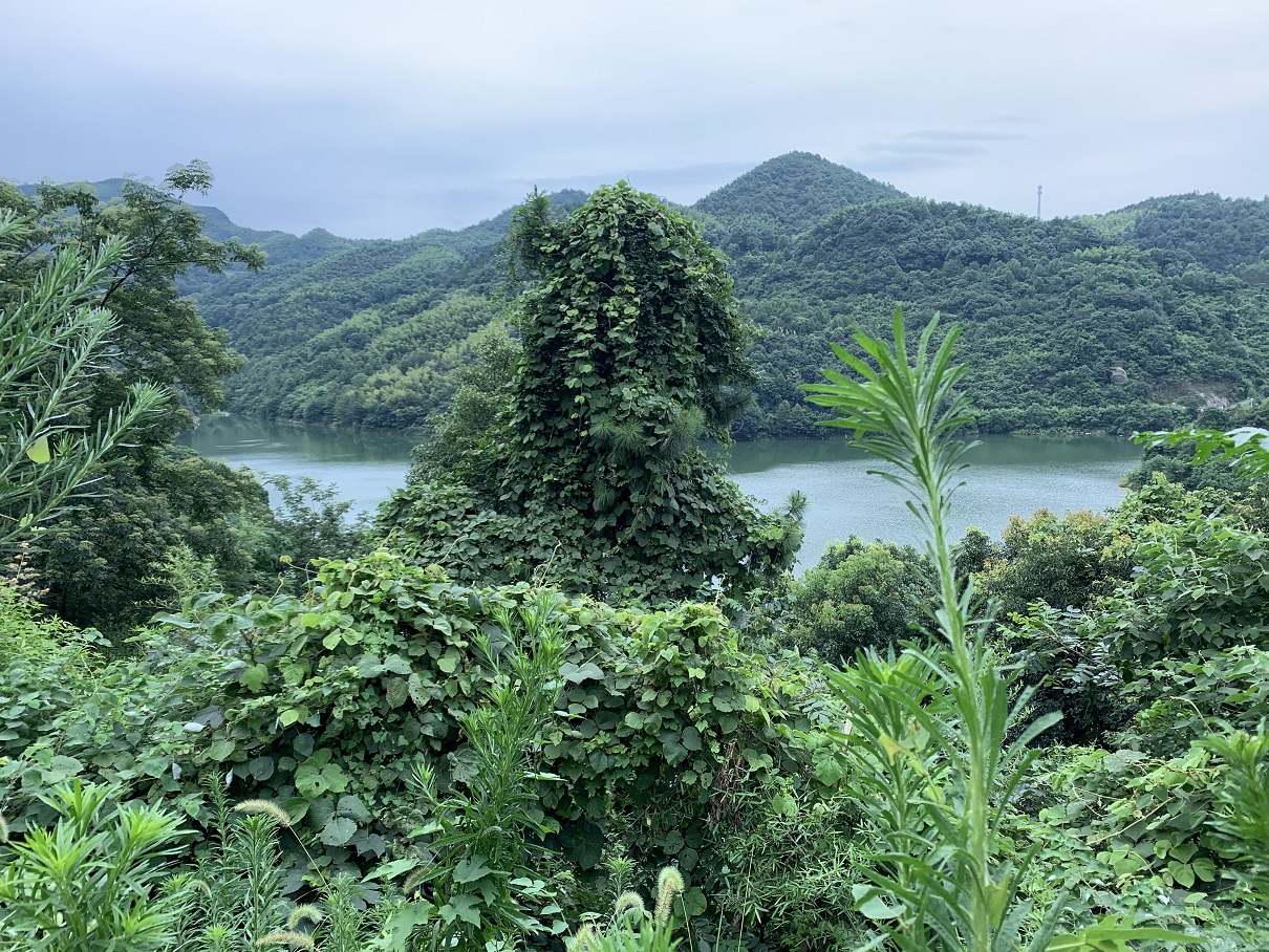 長沙周邊農村一(one)日遊洛書草堂風景欣賞